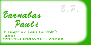 barnabas pauli business card